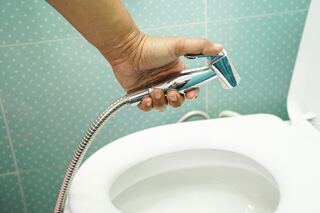 Bidet Features option for Accessible Toilet and Bidet