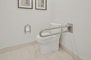Havenside Assist Bar Installation project example 5 in a bathroom