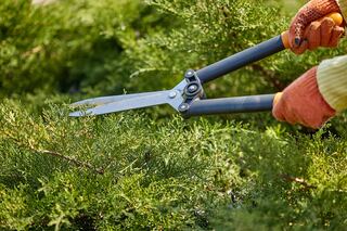 Havenside Landscape Mulching, Weeding, Trimming project example 6 in an exterior and curb