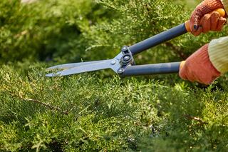 Havenside Landscape Mulching, Weeding, Trimming project example 6 in an exterior and curb