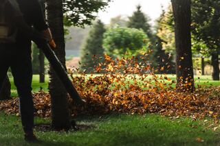 Havenside Leaf Blowing project example 3 in an exterior and curb