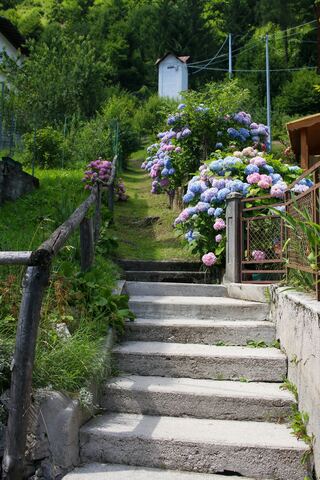 Havenside Outdoor Steps and Stair Repair project example 1 in an exterior and curb