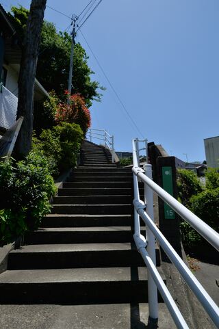 Design and Function Updates option for Outdoor Steps and Stair Repair