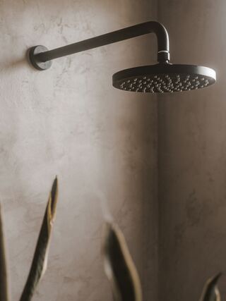 Fixture and Finish Options option for Walk In Showers