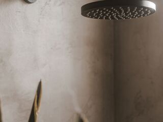 Fixture and Finish Options option for Walk In Showers